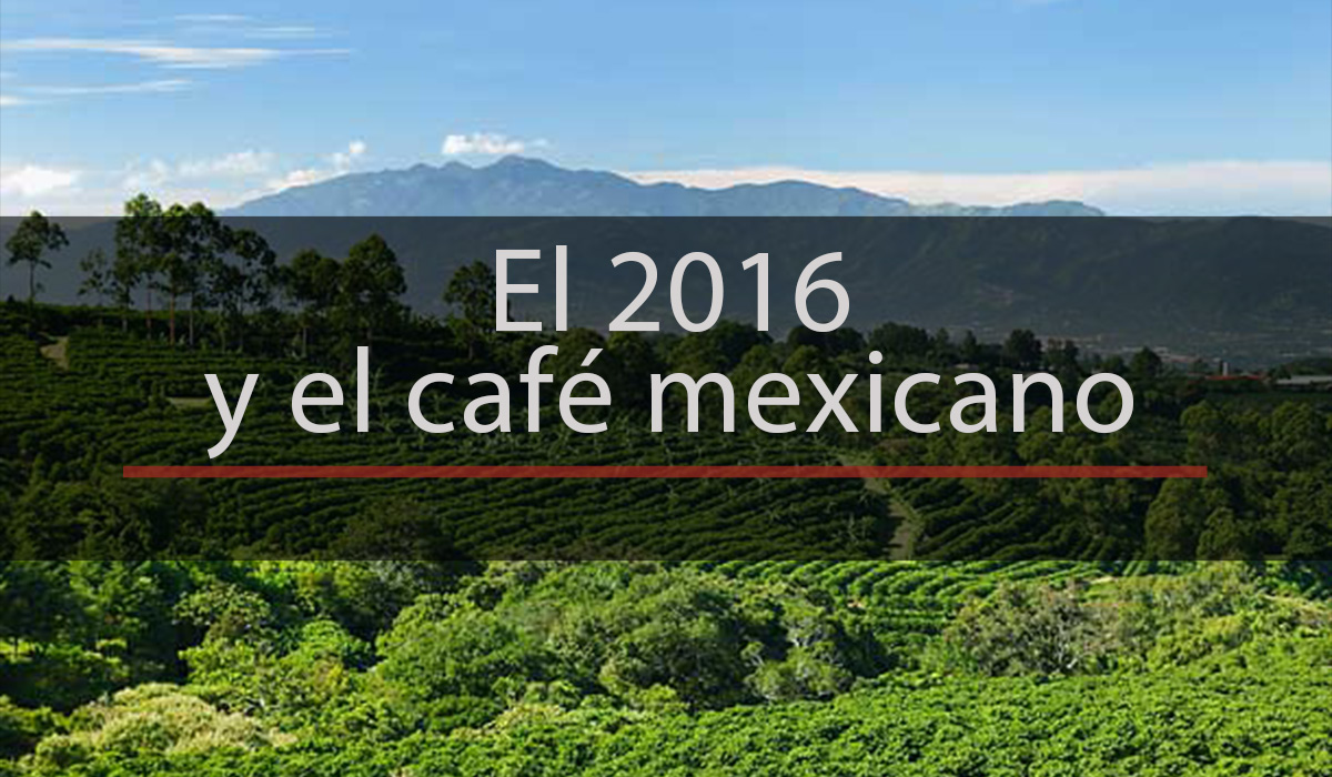 La Gaceta del Buen Café Enero 2016