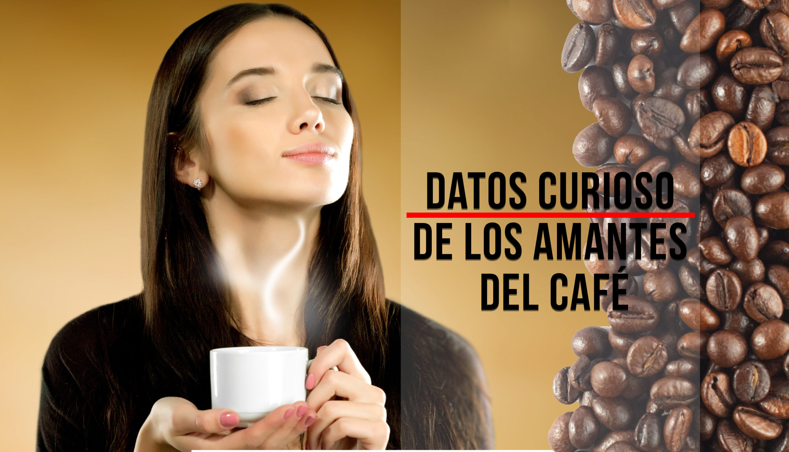 La Gaceta del Buen Café septiembre 2017